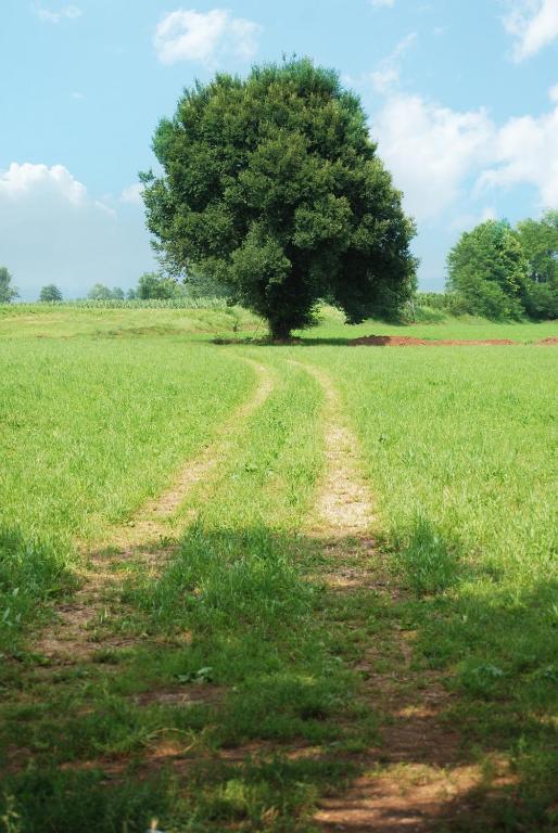 Agriturismo Parco Del Chiese Bedizzole Экстерьер фото