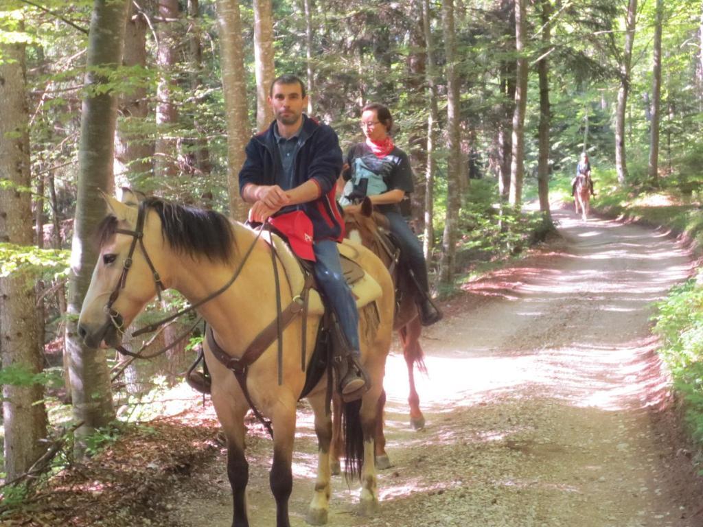 Agriturismo Parco Del Chiese Bedizzole Экстерьер фото